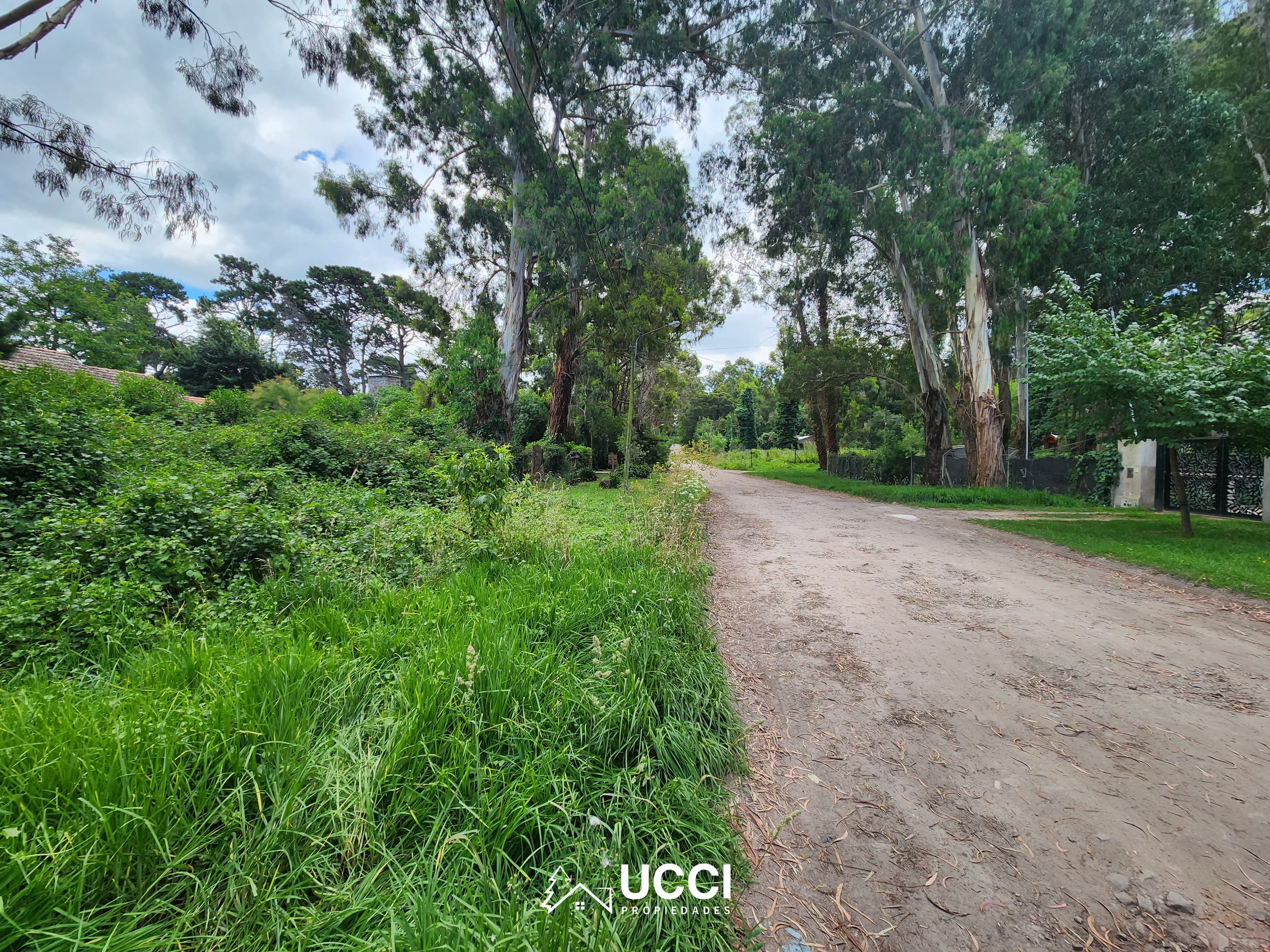 Venta Lotes de terreno 30 m x 30 m ( 900 m2 totales ) | Bosque Peralta Ramos - B. Nuevo Bosque